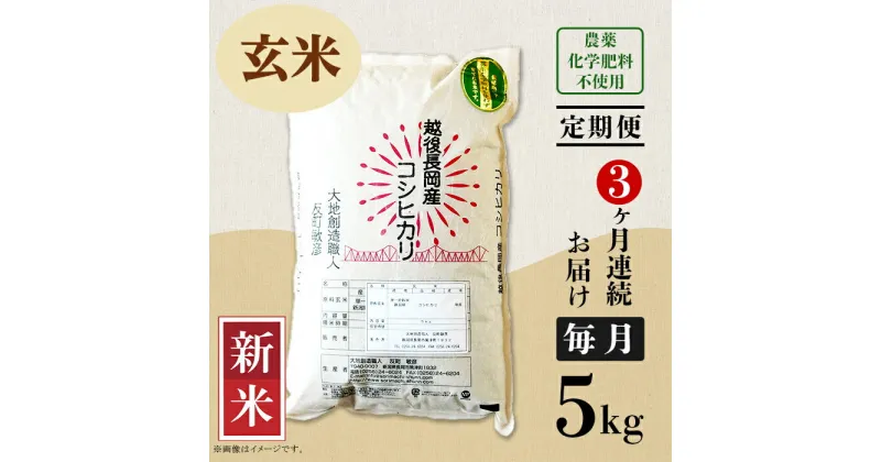 【ふるさと納税】米 定期便 5kg 玄米 コシヒカリ 新潟 令和6年 新米 E1-G053【3ヶ月連続お届け】新潟県長岡産コシヒカリ玄米5kg