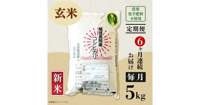 【ふるさと納税】米 定期便 5kg 玄米 6ヶ月 コシヒカリ 新潟 令和6年 新米 E1-G056【6ヶ月連続お届け】新潟県長岡産コシヒカリ玄米5kg