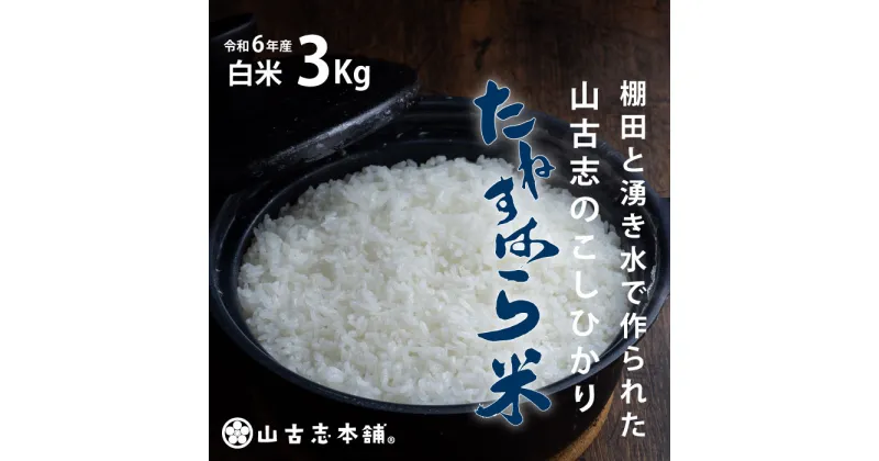 【ふるさと納税】米 白米 コシヒカリ 新潟 令和6年 新米 G3-04旧山古志村のこしひかり「たねすはら米」白米3kg（新潟県産コシヒカリ）