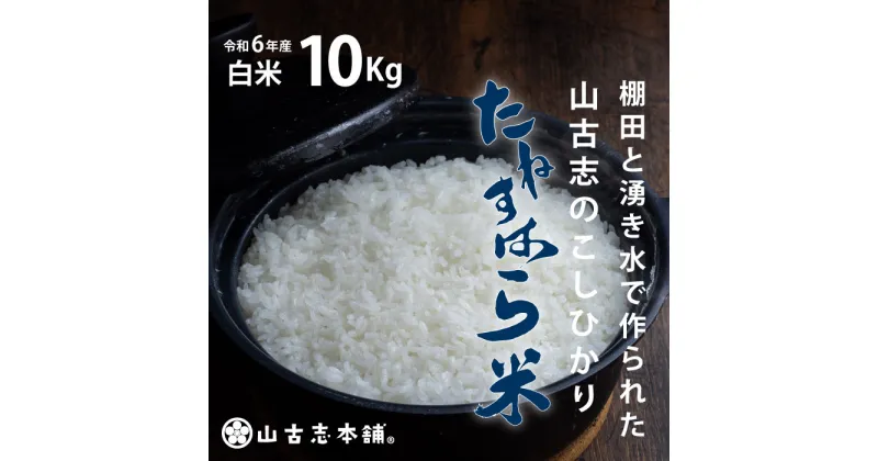 【ふるさと納税】米 10kg 白米 コシヒカリ 新潟 令和6年 新米 G3-06旧山古志村のこしひかり「たねすはら米」白米10kg（新潟県産コシヒカリ）