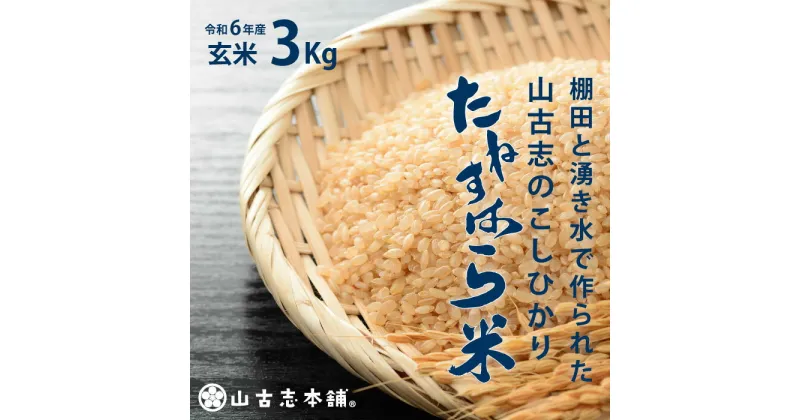 【ふるさと納税】米 玄米 コシヒカリ 新潟 令和6年 新米 G3-09旧山古志村のこしひかり「たねすはら米」玄米3kg（新潟県産コシヒカリ）