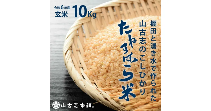 【ふるさと納税】米 10kg 玄米 コシヒカリ 新潟 令和6年 新米 G3-11旧山古志村のこしひかり「たねすはら米」玄米10kg（新潟県産コシヒカリ）