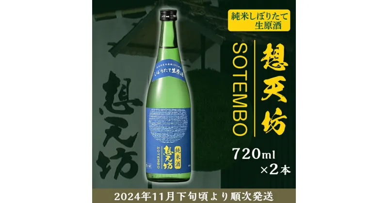 【ふるさと納税】 新潟 日本酒 H4-50想天坊 純米しぼりたて生原酒 720ml×2本【河忠酒造】（2024年11月下旬以降発送）