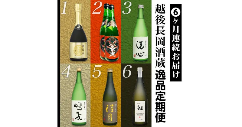 【ふるさと納税】日本酒 飲み比べ 新潟 A0-49【6ヶ月連続お届け】越後長岡酒蔵逸品定期便