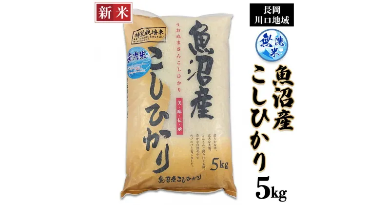 【ふるさと納税】米 無洗米 5kg 白米 コシヒカリ 魚沼 新潟 令和6年 新米 C2-6M051B新潟県魚沼産特別栽培米コシヒカリ（長岡川口地域）無洗米5kg