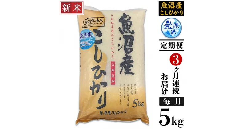 【ふるさと納税】米 無洗米 定期便 5kg 白米 コシヒカリ 魚沼 新潟 令和6年 新米 C2-6M053B【3ヶ月連続お届け】新潟県魚沼産特別栽培米コシヒカリ無洗米5kg（長岡川口地域）