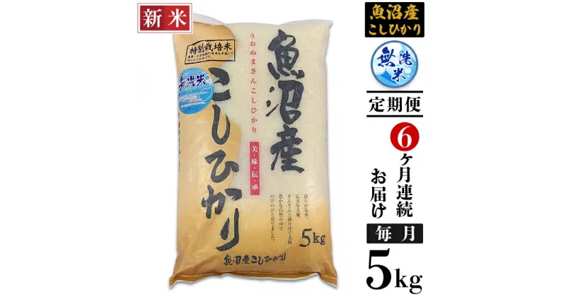 【ふるさと納税】米 無洗米 定期便 5kg 6ヶ月 白米 コシヒカリ 魚沼 新潟 令和6年 新米 C2-6M056B【6ヶ月連続お届け】新潟県魚沼産特別栽培米コシヒカリ無洗米5kg（長岡川口地域）