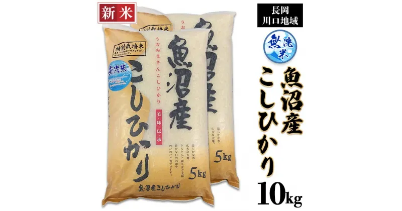 【ふるさと納税】米 無洗米 10kg 白米 コシヒカリ 魚沼 新潟 令和6年 新米 C2-6M101B新潟県魚沼産特別栽培米コシヒカリ（長岡川口地域）無洗米10kg（5kg×2袋）