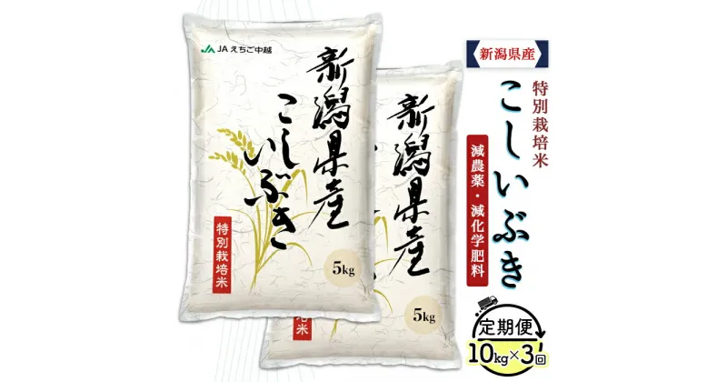 【ふるさと納税】米 定期便 10kg 白米 新潟 令和6年 75-BK103【3ヶ月連続お届け】新潟県長岡産特別栽培米こしいぶき10kg（5kg×2袋）【2025年1月中旬～下旬発送開始】