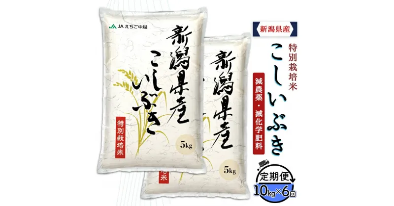 【ふるさと納税】米 定期便 10kg 6ヶ月 白米 新潟 令和6年 75-BK106【6ヶ月連続お届け】新潟県長岡産特別栽培米こしいぶき10kg（5kg×2袋）【2025年1月中旬～下旬発送開始】