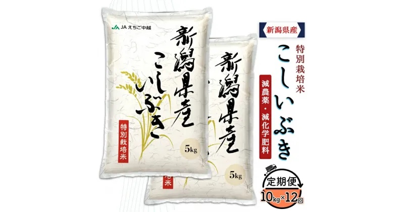 【ふるさと納税】米 定期便 10kg 12ヶ月 白米 新潟 令和6年 75-BK10Z【12ヶ月連続お届け】新潟県長岡産特別栽培米こしいぶき10kg（5kg×2袋）【2025年1月中旬～下旬発送開始】