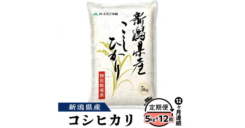 【ふるさと納税】米 定期便 5kg 12ヶ月 白米 新潟こしひかり 令和6年 75-BN05Z【12ヶ月連続お届け】新潟県長岡産コシヒカリ5kg（特別栽培米）【2025年1月中旬～下旬発送開始】