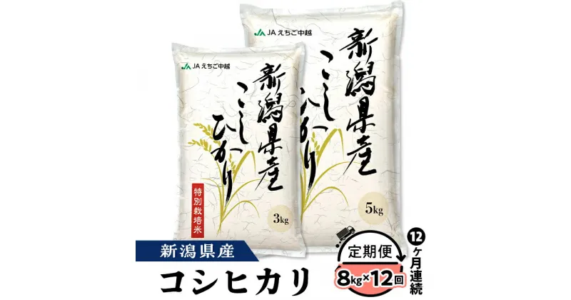 【ふるさと納税】米 定期便 12ヶ月 白米 コシヒカリ 新潟 令和6年 75-BN08Z【12ヶ月連続お届け】新潟県長岡産コシヒカリ8kg（特別栽培米）【2025年1月中旬～下旬発送開始】