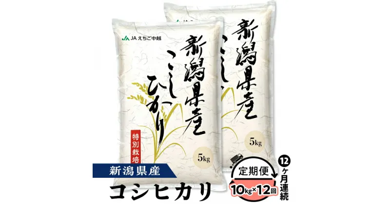 【ふるさと納税】米 定期便 10kg 12ヶ月 白米 新潟こしひかり 令和6年 75-BN10Z【12ヶ月連続お届け】新潟県長岡産コシヒカリ10kg（特別栽培米）【2025年1月中旬～下旬発送開始】