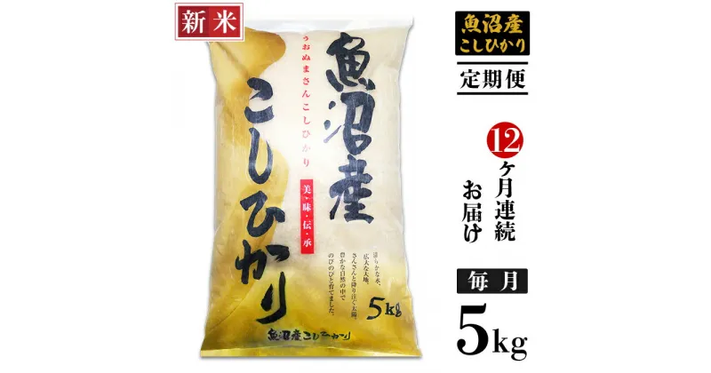 【ふるさと納税】米 定期便 5kg 12ヶ月 白米 魚沼 新潟こしひかり 令和6年 新米 C2-6K05ZB【12ヶ月連続お届け】新潟県魚沼産コシヒカリ5kg（長岡川口地域）