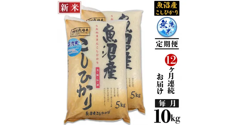 【ふるさと納税】米 無洗米 定期便 10kg 12ヶ月 白米 コシヒカリ 魚沼 新潟 令和6年 新米 C2-6M10ZB【12ヶ月連続お届け】新潟県魚沼産特別栽培米コシヒカリ無洗米10kg（5kg×2袋）（長岡川口地域）