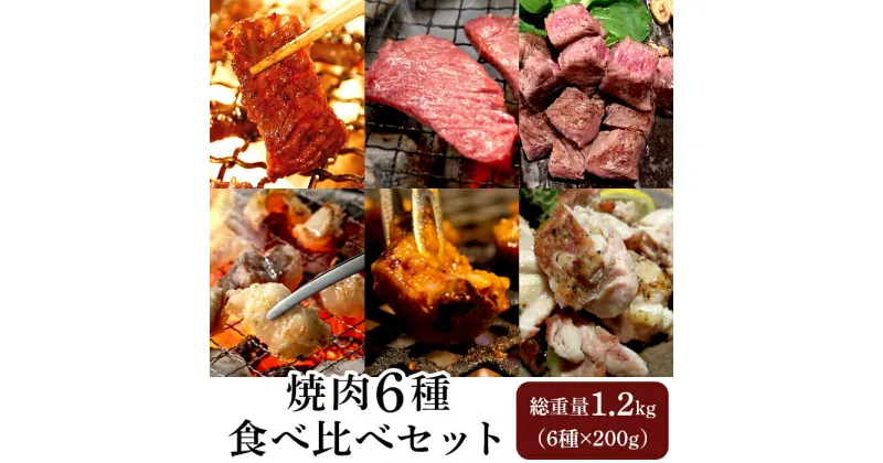 【ふるさと納税】肉 焼肉 小分け 真空 食べ比べ 76-A1A焼肉6種食べ比べセット 6種×200g（総重量1.2kg）