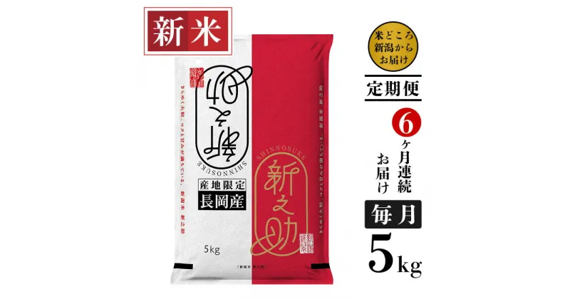 【ふるさと納税】米 定期便 5kg 6ヶ月 白米 新之助 新潟 令和6年 新米 73-6S056【6ヶ月連続お届け】新潟県長岡産新之助5kg