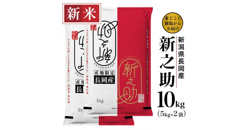 【ふるさと納税】米 10kg 白米 新之助 新潟 令和6年 新米 73-6S101新潟県長岡産新之助10kg（5kg×2袋）