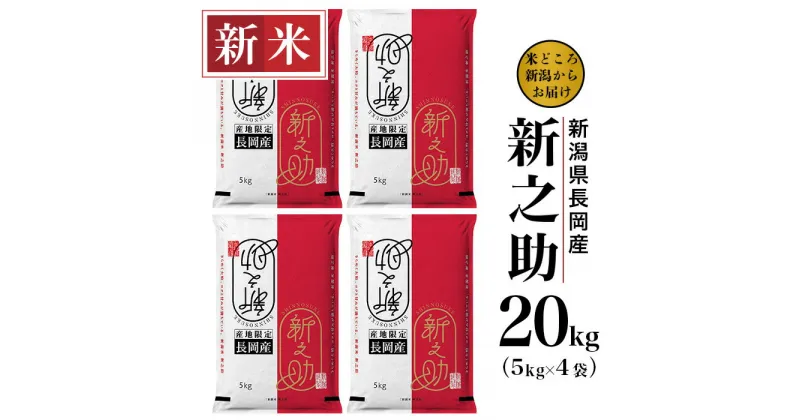 【ふるさと納税】米 20kg 白米 新潟 令和6年 新米 73-6S201新潟県長岡産新之助20kg（5kg×4袋）