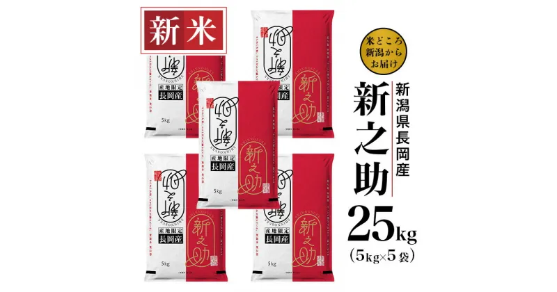 【ふるさと納税】米 白米 新潟 令和6年 新米 73-6S251新潟県長岡産新之助25kg（5kg×5袋)