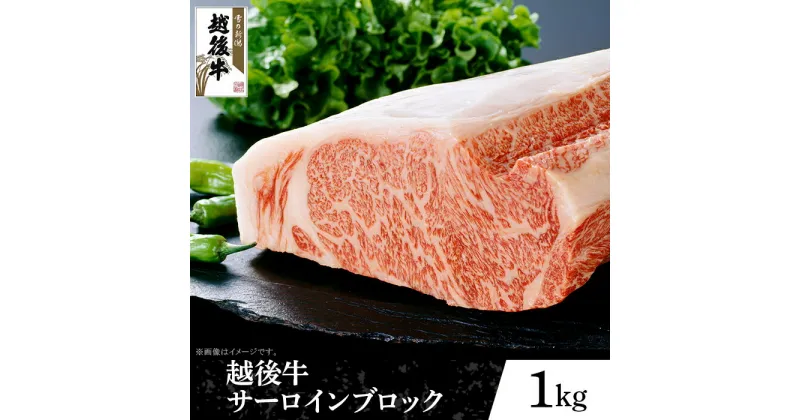 【ふるさと納税】63-42A新潟県産 越後牛サーロインブロック1kg