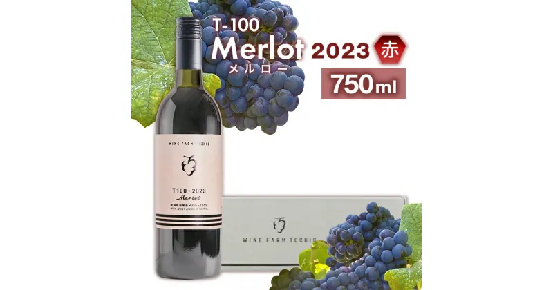 【ふるさと納税】24-05T100 Merlot〈赤〉2023 750ml【ワインファームとちお】