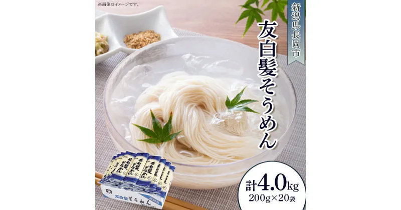 【ふるさと納税】80-07友白髪そうめん　200g×20把