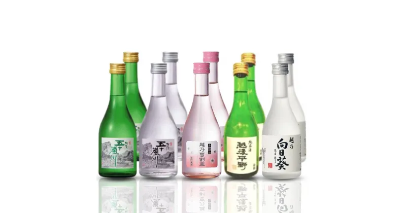 【ふるさと納税】日本酒飲み比べ 300ml×10本（5種類×2本） 特別本醸造酒 本醸造生貯蔵酒 純米酒 甘口 吟醸酒 新潟県 日本酒 清酒 地酒 [福顔酒造 ]【020P023】