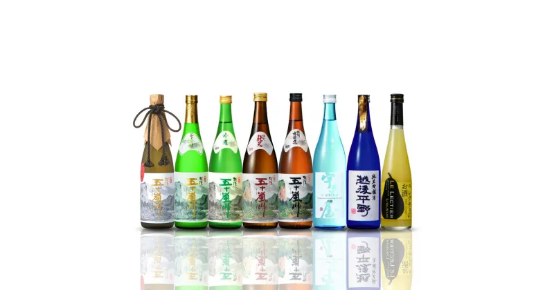 【ふるさと納税】新潟清酒 日本酒飲み比べ8本セット [福顔酒造] 【057P003】