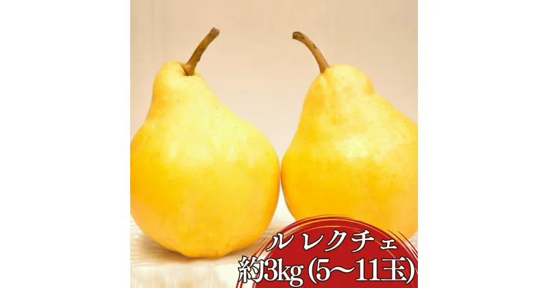 【ふるさと納税】先行予約 ル レクチェ 約3kg (5〜11玉) [11月下旬から発送予定] 洋梨 JGAP認証農場 新潟県 三条市産 ル レクチエ 期間限定 冬限定 幻の西洋梨 フルーツ 秋 旬 洋梨 ル・レクチェ [三条果樹専門家集団]【016P026】