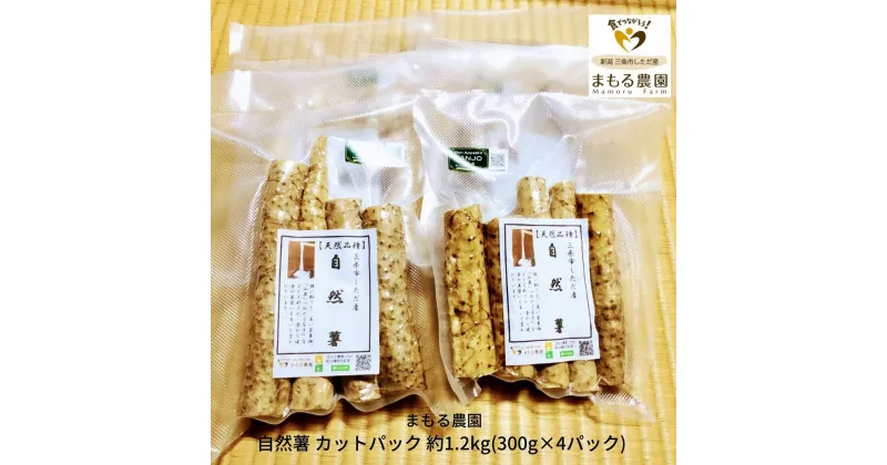 【ふるさと納税】自然薯 カットパック 約1.2kg(300g×4パック) 山芋 とろろご飯に じねんじょ [まもる農園] 【012P048】