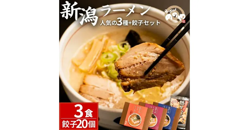 【ふるさと納税】[らーめんののや] 冷凍ラーメン3食+餃子20個 （冷凍らーめん ぎょうざ 新潟ラーメン） 【010S001】