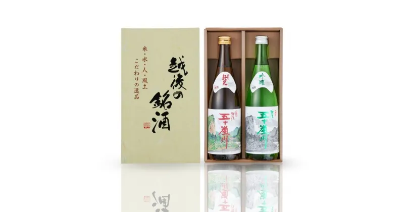 【ふるさと納税】越後五十嵐川ギフトセット 新潟県 日本酒 特別純米 吟醸 [福顔酒造] 【010S012】