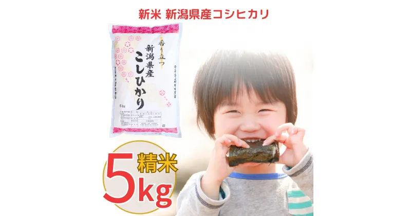 【ふるさと納税】新米 新潟県産 コシヒカリ 5kg こしひかり 令和6年産 米 10000円以下 1万円以下【010S097】