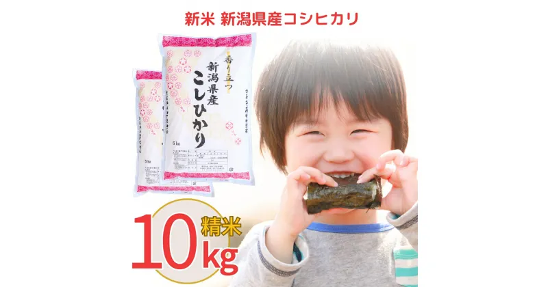 【ふるさと納税】新米 新潟県産 コシヒカリ 10kg こしひかり 令和6年産 米 [株式会社白熊]【013S008】