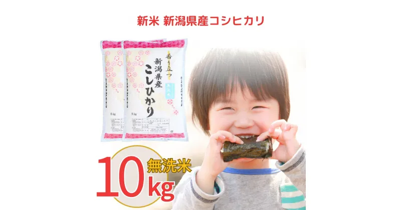 【ふるさと納税】新米 無洗米 新潟県産コシヒカリ 10kg こしひかり 令和6年産 米 [株式会社白熊]【014S021】