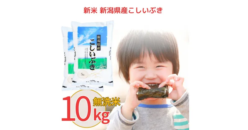 【ふるさと納税】新米 無洗米 新潟県産こしいぶき10kg 令和6年産 米 [株式会社白熊]【012S021】