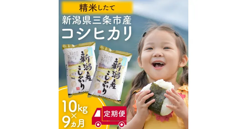 【ふるさと納税】[定期便10kg×9か月] 令和6年産 新潟県三条市産コシヒカリ 計90kg 新米 こしひかり 9か月連続でお届け [株式会社白熊]【114S002】