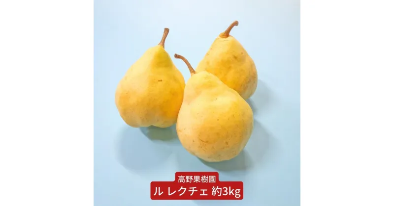 【ふるさと納税】先行予約 ル レクチェ 3kg 三条市農業マイスターが育てた 新潟県産 ル レクチエ 洋梨 ル・レクチェ【014S033】