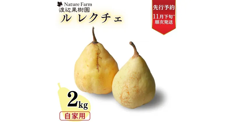 【ふるさと納税】先行予約 ル レクチェ 自家用 2kg（4〜7玉) [11月下旬から発送予定] 西洋梨 ル レクチエ 洋梨 化粧箱 洋ナシ ル・レクチェ [渡辺果樹園] 【010S240】