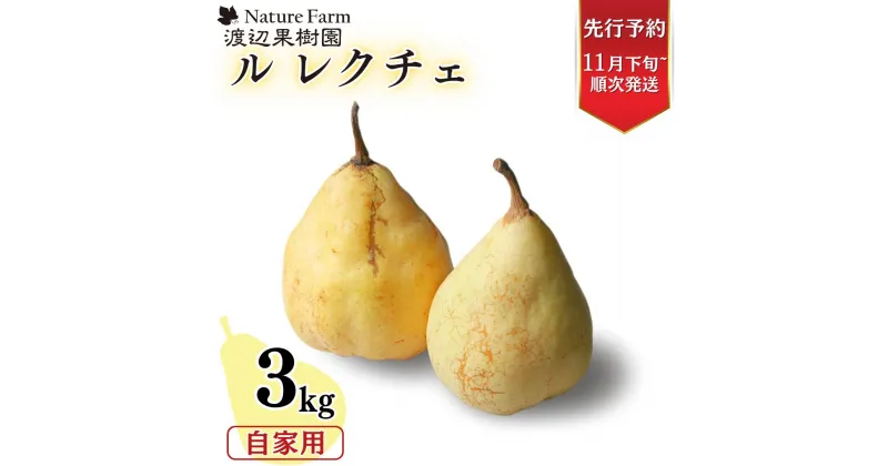 【ふるさと納税】先行予約 ル レクチェ 自家用 3kg（6〜10玉）[11月下旬から発送予定] 西洋梨 ル レクチエ 洋梨 化粧箱 洋ナシ ル・レクチェ [渡辺果樹園] 【014S042】