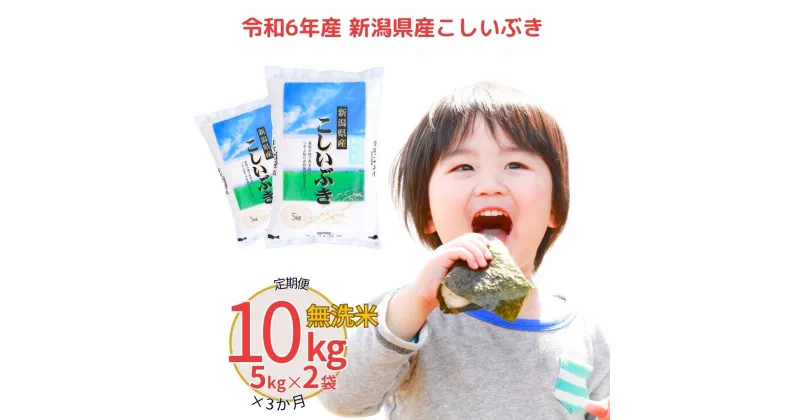 【ふるさと納税】 [定期便10kg×3ヶ月] 令和6年産 無洗米 新潟県産こしいぶき 10kg 3か月（3ヵ月）連続でお届け [株式会社白熊]【034S004】