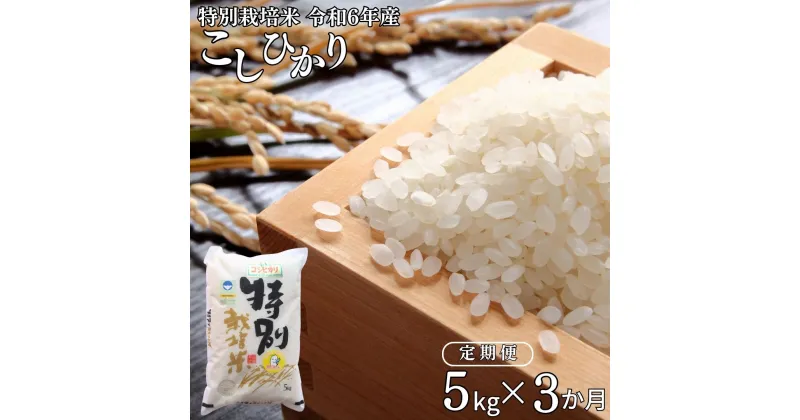 【ふるさと納税】 [定期便5kg×3ヶ月] 特別栽培米 コシヒカリ5kg 新潟県認証 令和6年産 新潟県三条市産 こしひかり 3か月連続でお届け アグリ巧房【027S014】