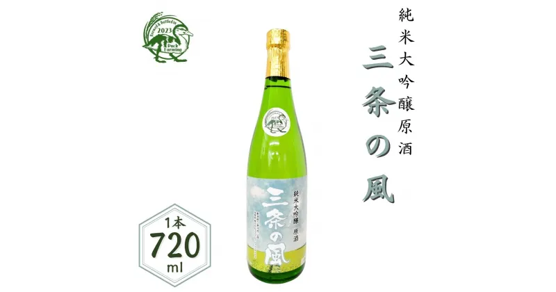 【ふるさと納税】純米大吟醸 原酒「三条の風」 720ml 1本 日本酒 新潟県 数量限定 五百万石を使用 【011S138】