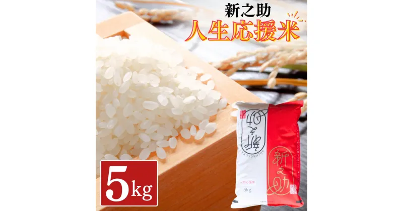 【ふるさと納税】新之助人生応援米 5kg 令和6年産 新之助 白米 アグリ巧房【012S079】