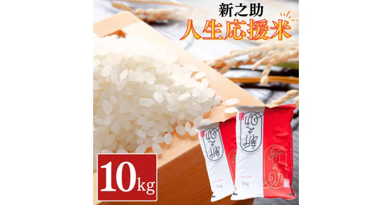 【ふるさと納税】新之助人生応援米10kg（5kg×2） 令和6年産 新之助 白米 アグリ巧房 【024S033】