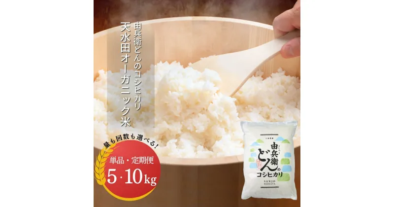 【ふるさと納税】天水田で育った コシヒカリ 5kg オーガニック米 新潟県産 こしひかり [由兵衛どん] 【012S080】