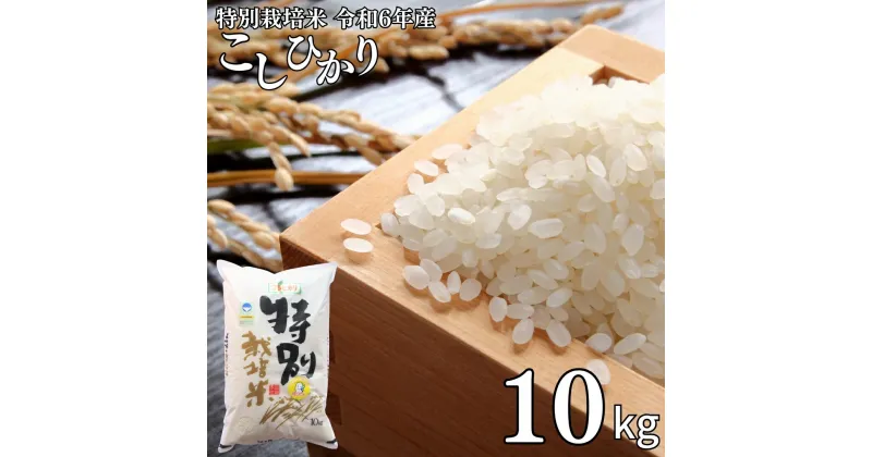 【ふるさと納税】県認証 特別栽培米 コシヒカリ10kg 無洗米 新潟県認証 令和6年産 新潟県三条市産 こしひかり 【021S058】