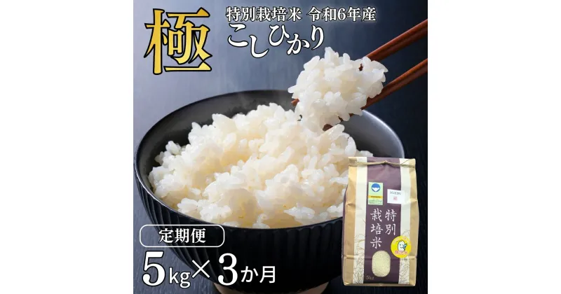 【ふるさと納税】[定期便 5kg×3ヶ月] 県認証 特別栽培米 コシヒカリ 「極」 5kg 合計15kg 無洗米 令和6年産米 こしひかり 新潟県認証 白米 3か月連続でお届け 【036S012】